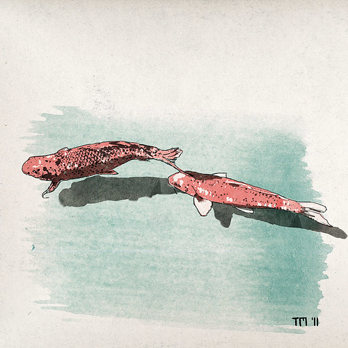 Illustration of two japanese koi carp fishes swimming in koi pond 