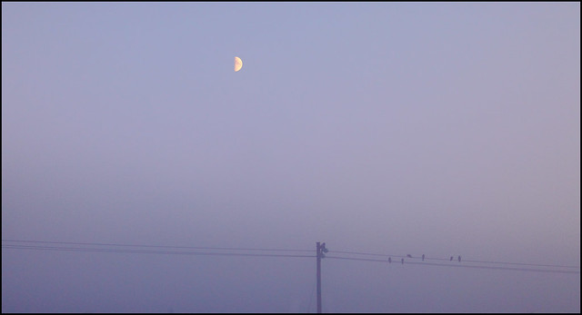 Moon and fog