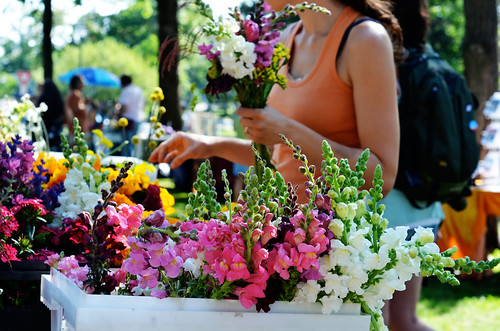 market flowers by kristin~mainemomma