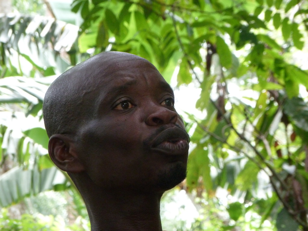 Planteur de cacao Togo