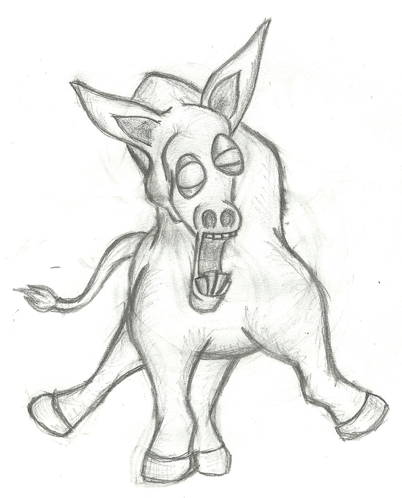 donkey with ataxia