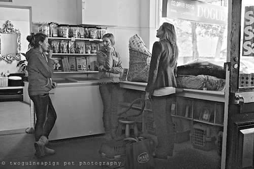 The owners, twoguineapigs pet photography at Dogue's Winter Sale 2011 in Manly