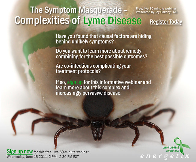The Symptom Masquerade – Complexities of Lyme Disease eblast 2