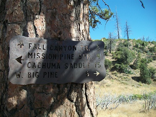 Mission Pine Basin/Santa Cruz Junction