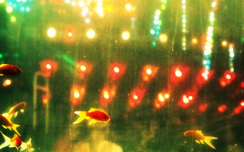 Fair Fish by cineloh