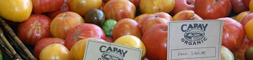 capay-tomatoes-csa