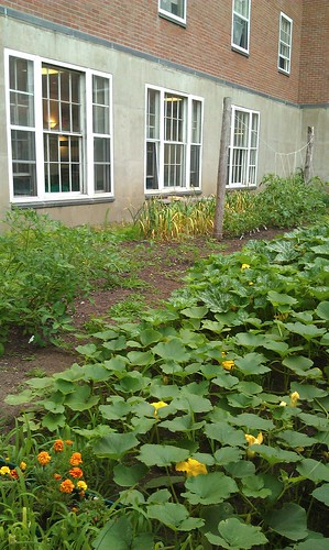 Garden behind Dewey Hall Vermont College
