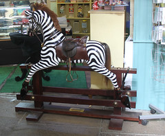  A rocking Zebra