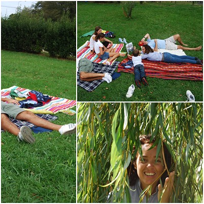 collage_picnic3