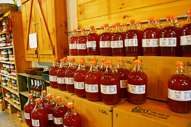 Cider At Mercier Orchards {Blue Ridge, Georgia}
