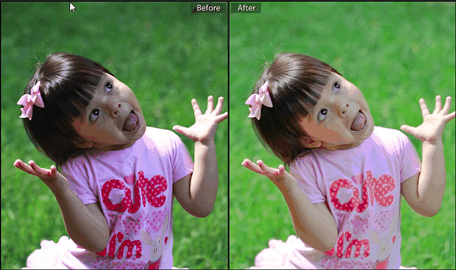 Lightroom N-Before and After