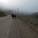 Alcuni coyas camminano nella nebbia (Cuesta del Indio, Tucuman)