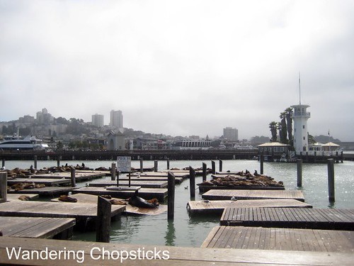 11 Clam Chowder in a Bread Bowl (Pier 39) - San Francisco (Fisherman's Wharf) 2
