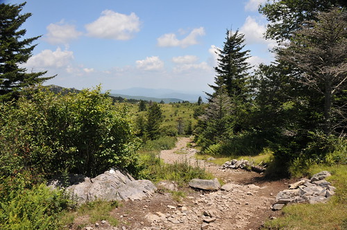 The AT from Grayson Highlands State Park