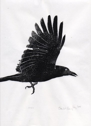 Crow detail