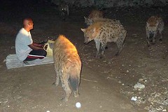 Hyena-Man, Feeding Hyenas, Harar, Eastern Ethiopia