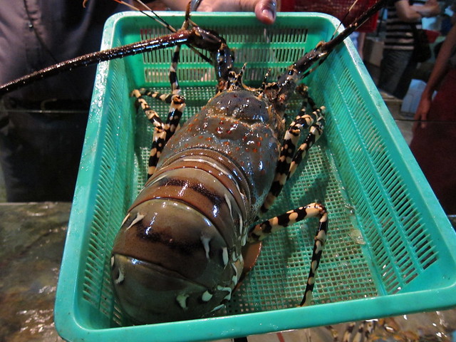 2.5KG Lobster