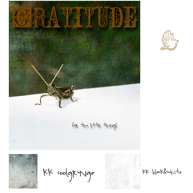 gratitude for the little things 2