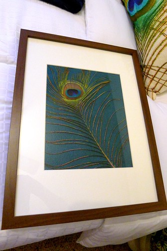 Peacock Feather Framed