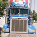 Teamster Truck Front view cropped