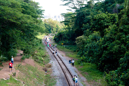 Crowds thronging the tracks