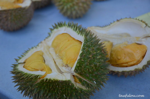 durian part 2 (13)