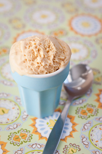 Homemade Salted Caramel Ice Cream
