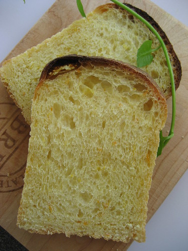 orange bread by VigoBaby1