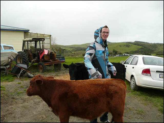 Moritz with the cows ^^