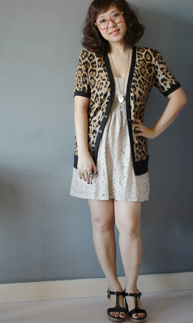 leopard and lace