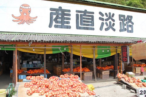 Onions in Awaji Island 淡路島の玉ねぎ
