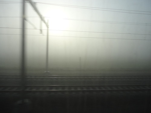 Fog Train 1