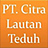 PT Citra Lautan Teduh Batam's items
