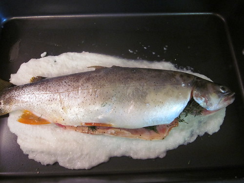salt encrusted trout