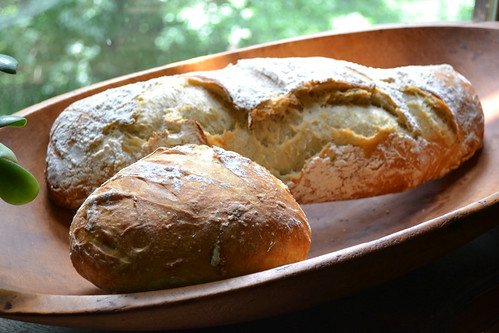 Artisan Bread in Five Minutes a Day by ellajohn