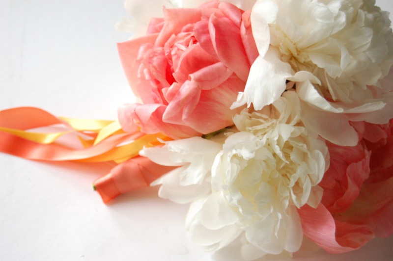 close-up-peony-bouquet-white-coral-ribbon