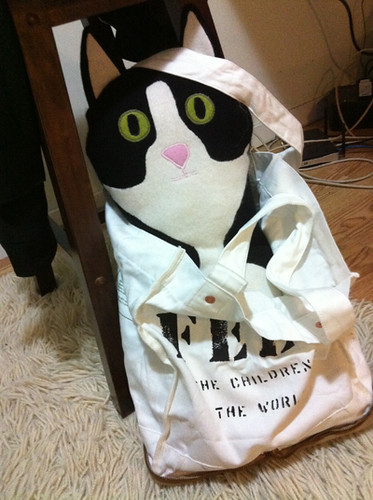 cat in a bag
