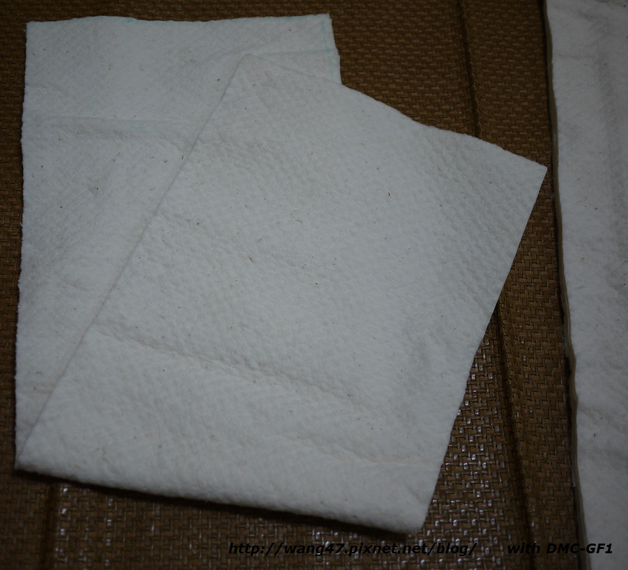20110720-07美國鋪棉