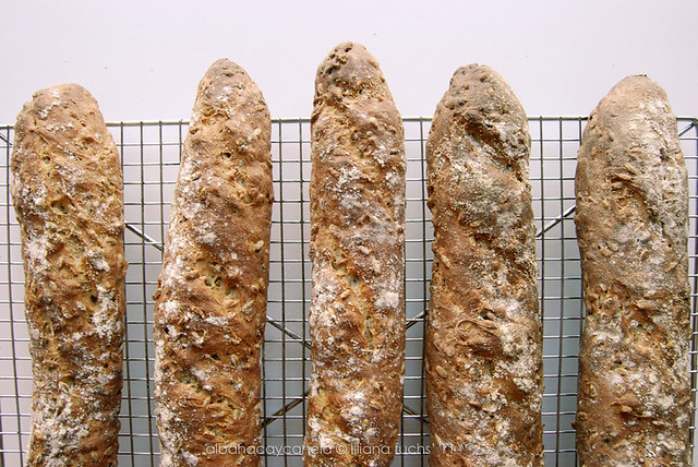 Alsace bread with rye