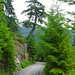 Biking the Valley Trail, Whistler, BC