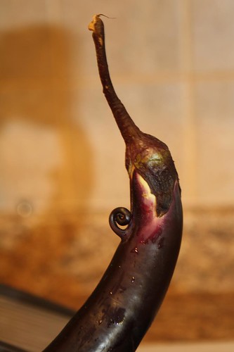 Funny Eggplant