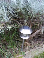 Solar lamp in the border P1550356