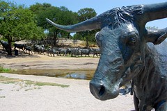 Cattle Drive, Pioneer Plaza, Dallas (3)