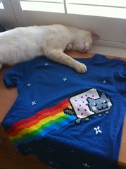 Nyan Cat with Mikey