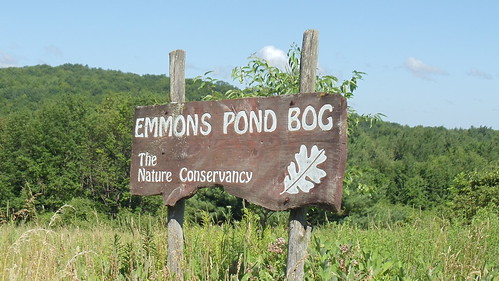 EMMONS POND BOG: The Nature Conservacy by JuneNY