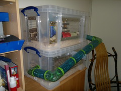 Millie's bin cage