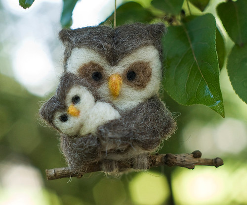 Owl, Family of Two