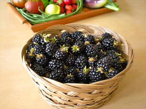 a basket of blackberries