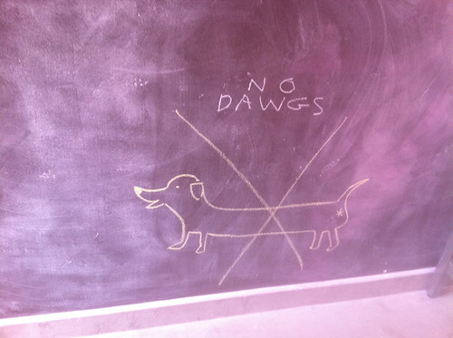 No Dawgs