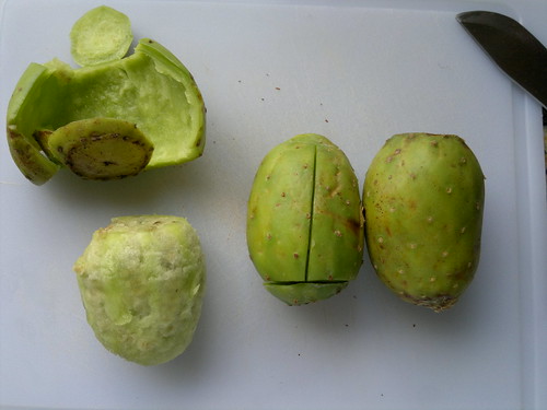 Tuna / Prickly pear